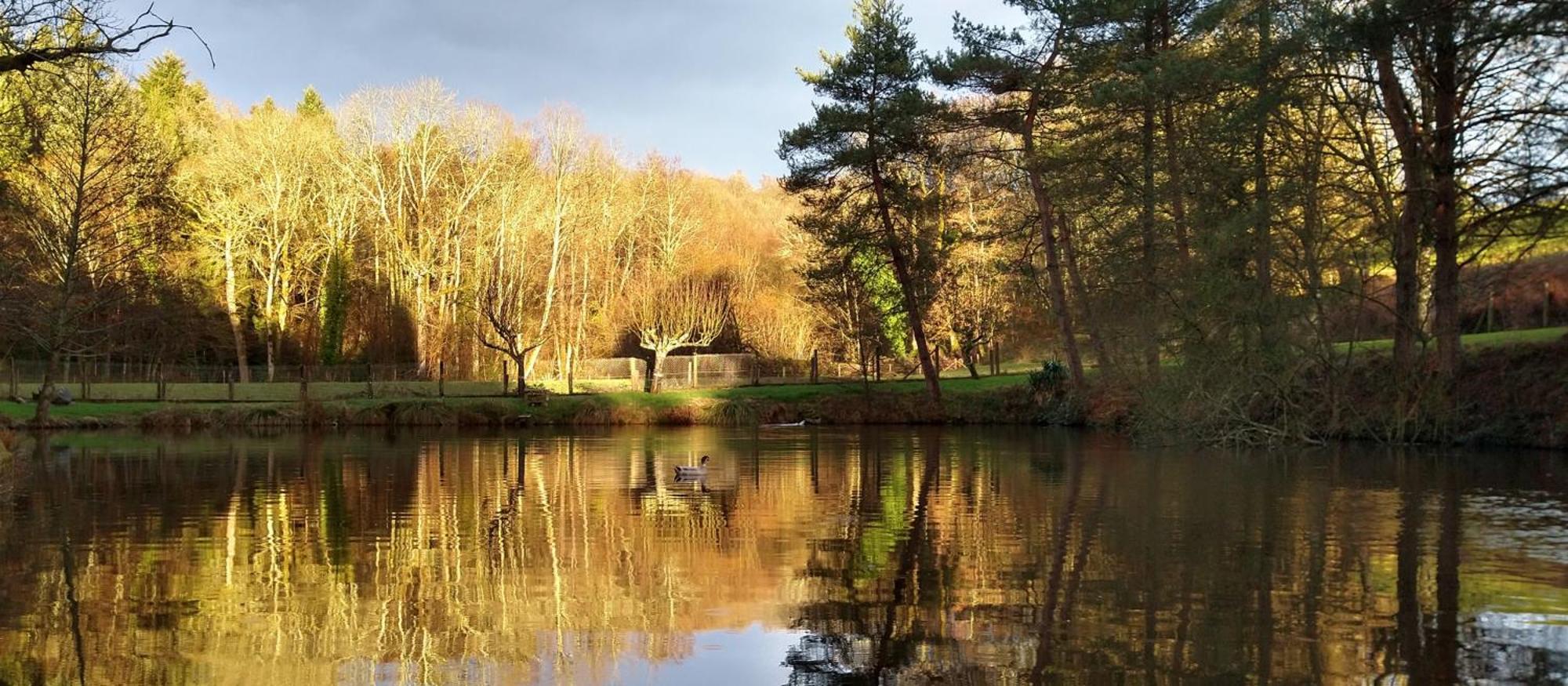 Le Petit Lac Bourganeuf Bagian luar foto